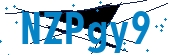 recaptcha