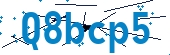 recaptcha