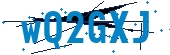 recaptcha